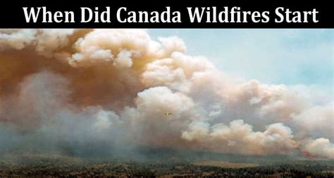 How did the canadian wildfires start. Things To Know About How did the canadian wildfires start. 